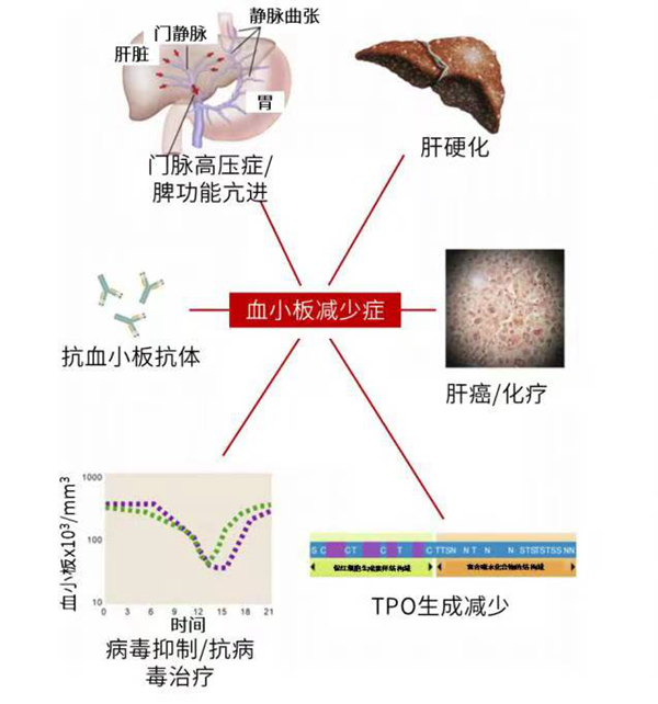 微信图片_20230718153738.jpg