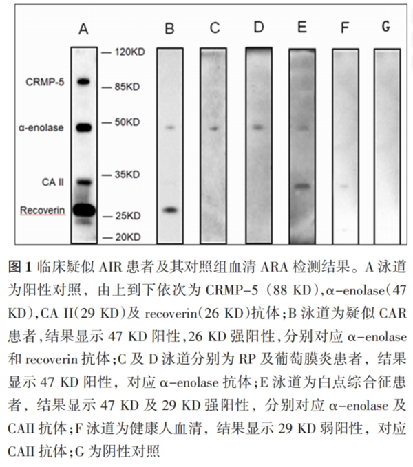 /officialwebsite/images/2024/04/08/cfb5b68669265eacfab70209c337a6f3.png 微信截图_20240408154420.png