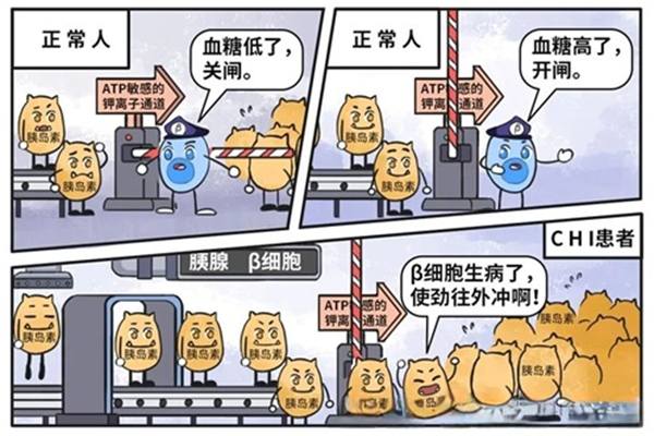 /officialwebsite/images/2025/08/22/a9a12f993f0c8a603848414b9958a83e.png 图片1.png