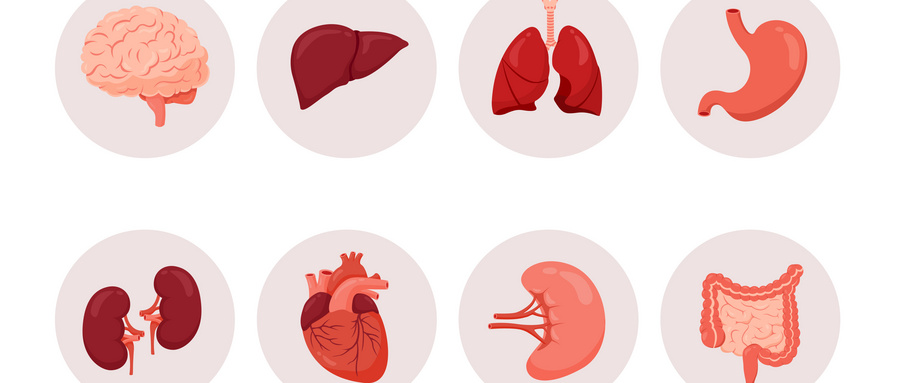 世界肾脏日：专家强调慢性肾脏病需“早干预”“长达标”两手抓