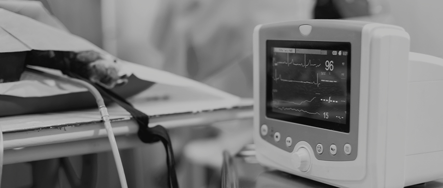 热议！规培生单独接诊，致甲流患儿死亡，被索赔57万！